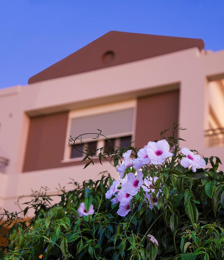 Lotos - Luxury Apartments Kounoupidhianá 外观 照片